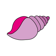 marine shell animal icon vector illustration graphic design