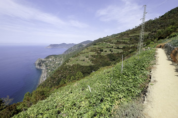 Obraz premium Corneglia coast