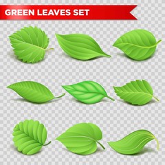 Green leaf 3d relaistic icons eco environment or bio ecology vector symbols
