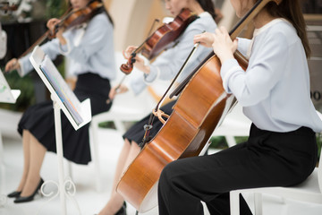 Hands girl playing cello in light colors © Mak