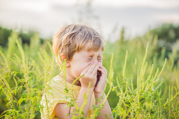 Boy sneezes because of an allergy to ragweed - obrazy, fototapety, plakaty