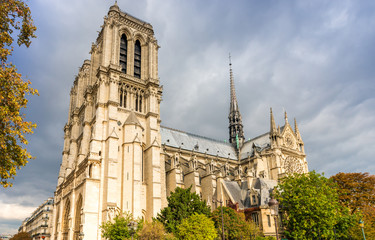 Fototapeta na wymiar Notre-Dame de Paris en automne, Paris, France