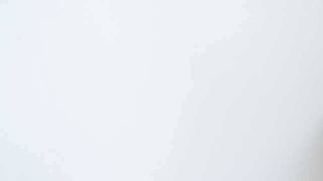Black beetle crawling on white background
