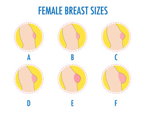 Set of round line icons of different female breast size, body side view. Various boobs sizes, from small to large. Sizes of busts, from A to F. Vector isolated on white.
