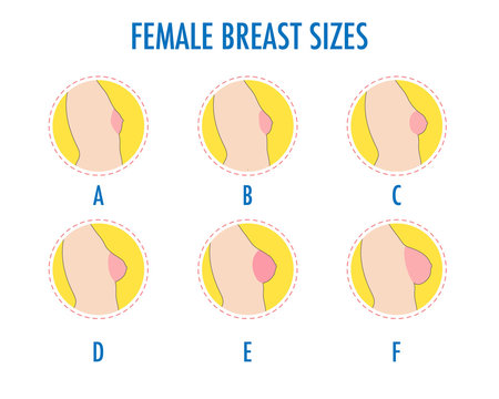 Set of round line icons of different female breast size, body side view. Various boobs sizes, from small to large. Sizes of busts, from A to F. Vector isolated on white.