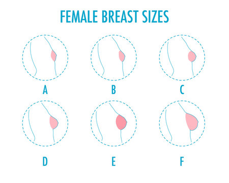 Set of round line icons of different female breast size, body side view. Various boobs sizes, from small to large. Sizes of busts, from A to F. Vector isolated on white.