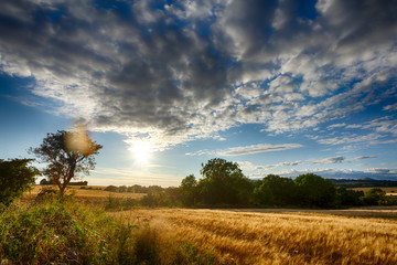 Sunset Contrejour