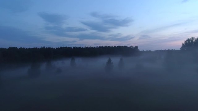 Top view of an evening and foggy forest with trees, clouds above the horizon