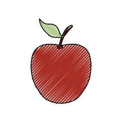 Fototapeta premium Apple delicious fruit icon vector illustration graphic design