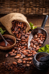 Still life of cocoa beans