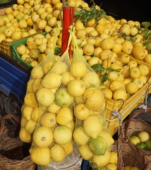 Zitrusfrüchte, Obst und Beeren auf einem Wochenmarkt in Italien