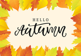 Hello autumn banner template with bright colorful leaves