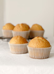 Baked Muffins