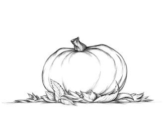 Einfacher Kürbis auf Herbstlaub