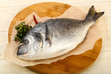 raw dorada fish