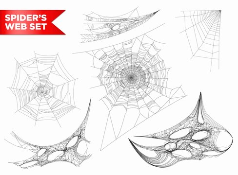 Spiderweb Or Spider Web Cobweb 3D Shapes Vecto Isolated Icons