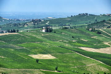 Naklejka premium Oltrepo Pavese (Italy), rural landscape at summer