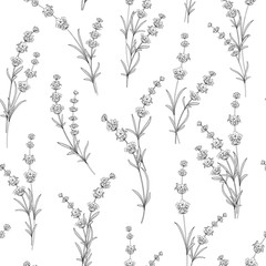 Seamless pattern of lavender flowers on a white background. Watercolor pattern with Lavender for package paper. Vector illustration.