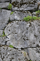 mauer aus felssteinen