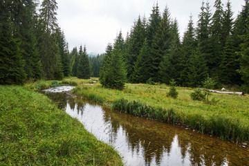 Fototapeta na wymiar Mountain river through forest