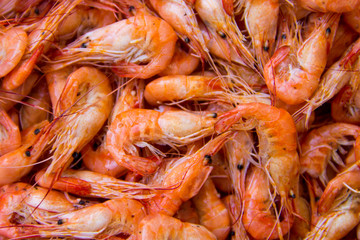Close-up of boiled shrimps for background