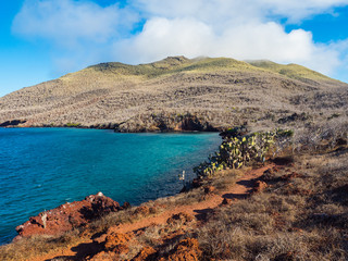 Rabida Island Galapagos