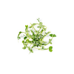 Heap of green pea sprouts, micro greens on white background. Healthy eating concept of fresh garden produce organically grown as a symbol of health and vitamins from nature. Microgreens closeup.