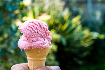 Strawberry Ice Cream Cone or Cornet