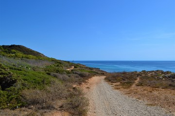 Fototapeta na wymiar Küste von Sardinien mit Weg