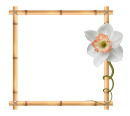 Realistic bamboo frame with narcissus flower.