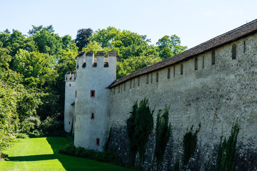 Fototapeta premium historic medievil castle with tower in summer