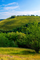 Fototapeta premium Photo of a beautiful hill and green grass