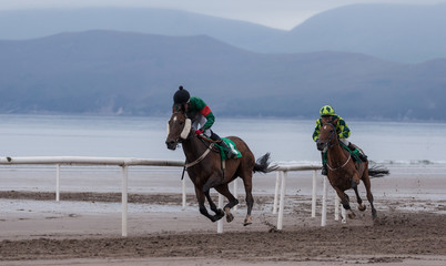 Race horses and jockeys jumping hurdles 