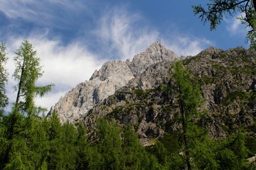 prospect of the alps...