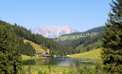 prospect of the alps...