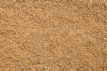 grain and wheat flakes background