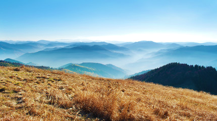 Fototapeta na wymiar Panorama of a view of hills of a smoky mountain range covered in white mist and deciduous forest under blue cloudless sky on a warm fall day in October. Carpathians, Ukraine