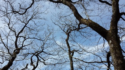 As I look up