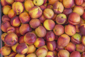 Box filled with fresh nectarines