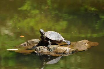 Obraz premium Trip to Malaysia, Asia