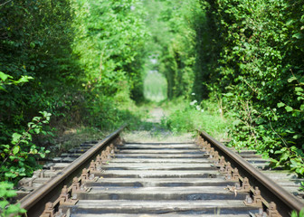 railroad in focus and trees in background