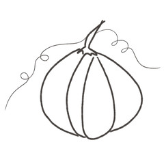 sketch pumpkin black and white halloween