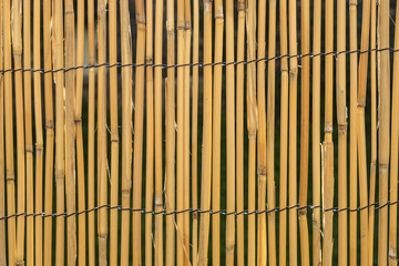 bamboo mat background