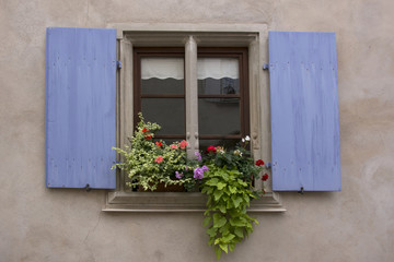 Fototapeta na wymiar Vecchie finestre, Alsazia, Francia