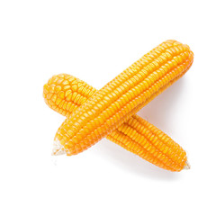 Dried corn maize isolated on the white background