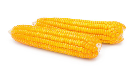 Dried corn maize isolated on the white background