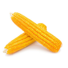 Dried corn maize isolated on the white background