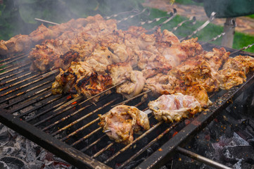 Preparation of a fresh, delicious shish kebab from a chicken on skewers.
