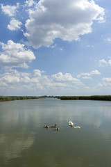 Lake Velence in Hungary