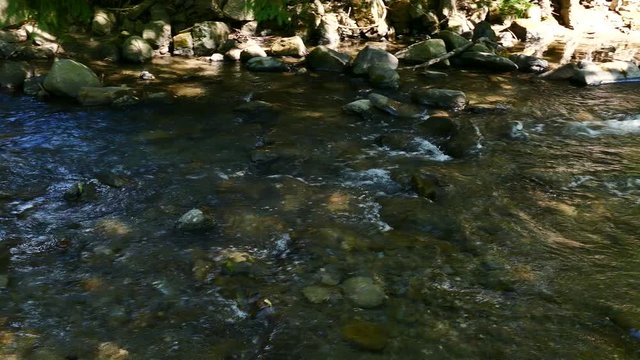4K. Mountain  river or stream  with stones in sunny day. Panorama